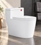 Bồn Cầu Khối Sứ Fotari 2527