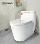 Bồn Cầu Sứ Nguyên Khối Nano Ceramic A-1995 