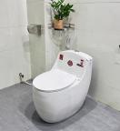 Bồn Cầu Sứ Fotari 1 Khối Nano Ceramic Model 1668
