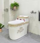 Bồn Cầu Sứ Liền Khối 1388