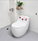Bồn Cầu Sứ Fotari 1 Khối Nano Ceramic Model 1668