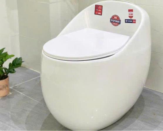 MẪU THIẾT KẾ NHÀ VỆ SINH HIỆN ĐẠI 2025