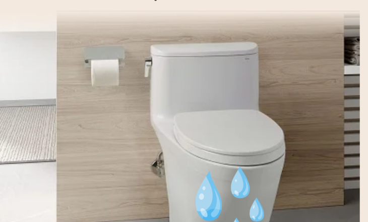 Cách Khắc Phục Sự Cố Bồn Cầu Bị Rỉ Nước Tại Nhà Đơn Giản