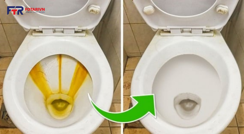 Thực hiện điều dưới đây để tránh bồn cầu hôi trở lại