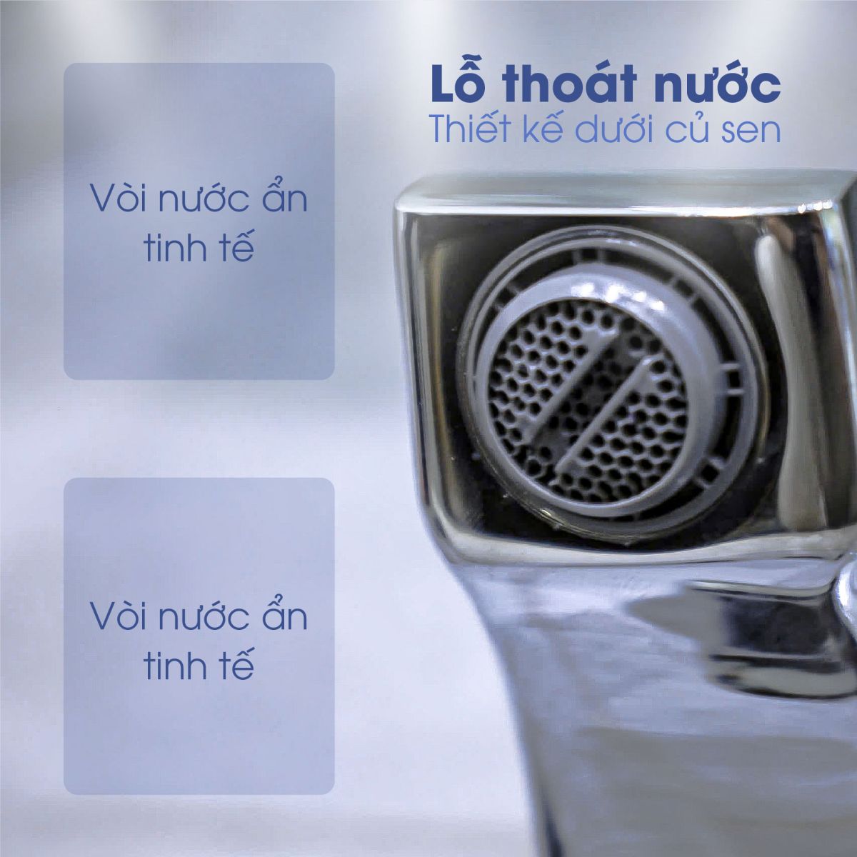Sen Cây Nóng Lạnh Bát Vuông Fotari A-1027 5