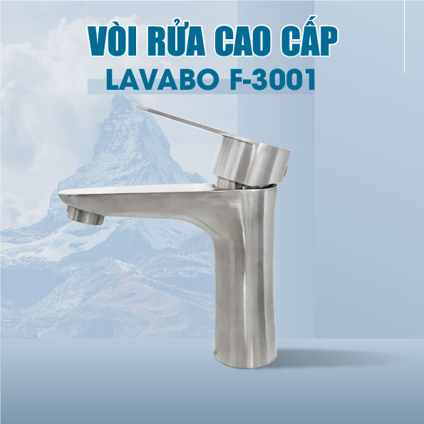 Vòi Lavabo Nóng Lạnh Inox F-3001