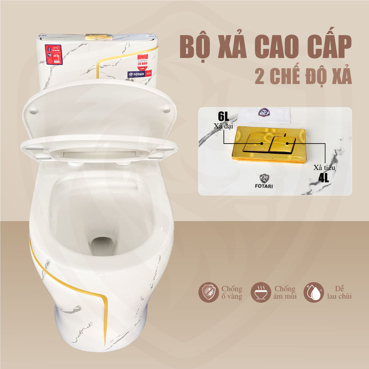 bon-cau-fotari-model-1111