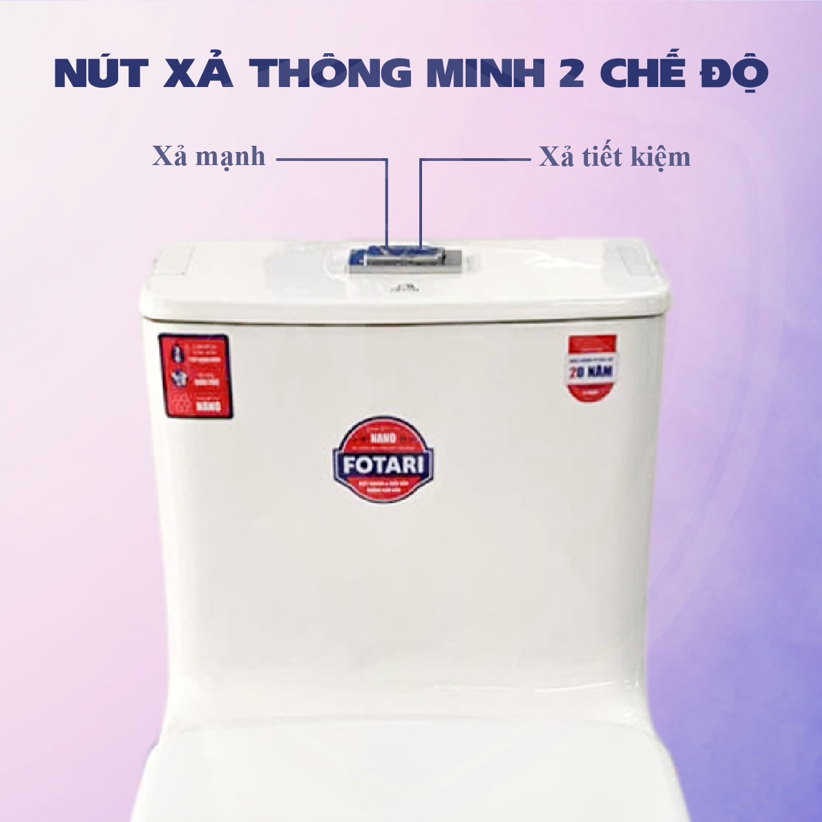 bon-cau-fotari-model-7879