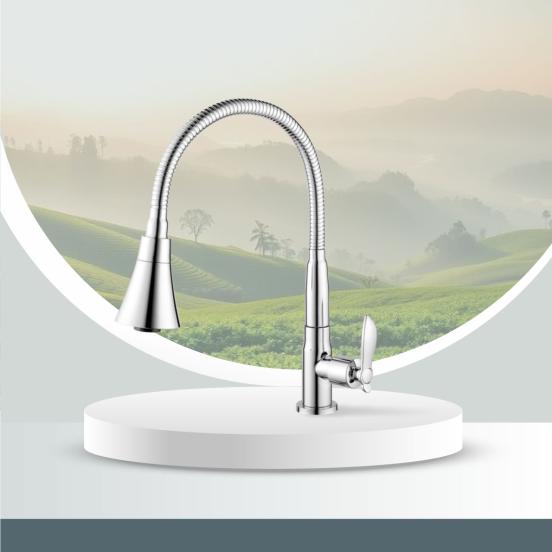 Vòi nước bồn rửa bát lạnh Fotari F-5021
